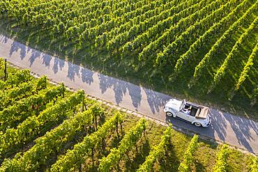 UAV recording, businessman in a vintage car, driving through vineyard, Remstal, Baden-Wuerttemberg, Germany, Europe