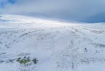 Fjell with snow pressed by the wind, Nordland, Norway, Europe