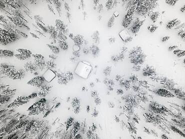 Aerial view of houses in the forest in winter, Muonio, Lapland, Finland, Europe