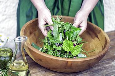 Wild herb salad, Rauris, Pinzgau, Salzburger Land, Austria, Europe