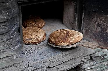 Sourdough bread from the wood-burning oven, Kalchkendlalm, Rauris, Bucheben, Austria, Europe