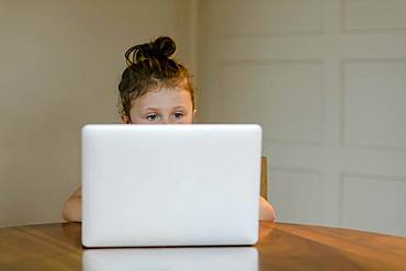 Child sitting at the laptop