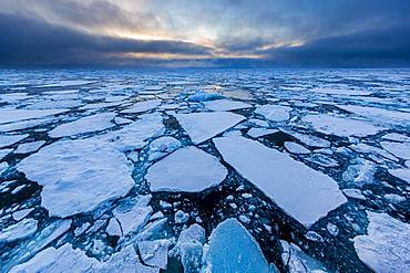 Ice field in the sea, threatening cloud atmosphere, east coast Greenland, Denmark, Europe