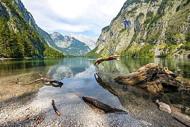 Young man jumps into lake, bathes in mountain lake, mountains are reflected in Obersee, behind Watzmann, salet at Koenigssee, Berchtesgaden National Park, Berchtesgadener Land, Upper Bavaria, Bavaria, Germany, Europe