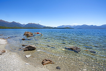 Young man jumps from stone into water, Beach Frasers Beach, Lake Manapouri, Manapouri, South Island, New Zealand, Oceania