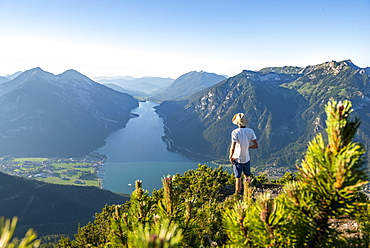 Young man looking over mountain landscape, mountain pines at the top of Baerenkopf, view of Achensee at sunset, on the left Seekarspitze and Seebergspitze, Karwendel, Tyrol, Austria, Europe