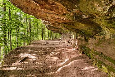 Altschlossfelsen, Palatinate Forest, Rhineland Palatinate, Germany, Europe