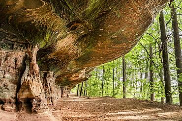 Altschlossfelsen, Palatinate Forest, Rhineland Palatinate, Germany, Europe