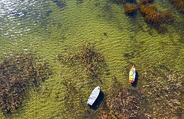 Boats in the reed belt at Mondsee, drone photo, aerial photo, Mondseeland, Salzkammergut, Upper Austria, Austria, Europe