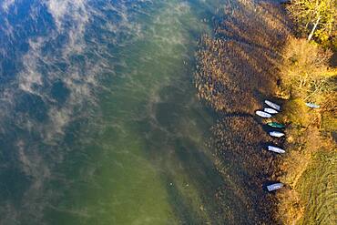 Wafts of fog at Irrsee with fishing boats in the reed belt, ground fog, from above, drone photo, aerial view, Zell am moss, Salzkammergut, Upper Austria, Austria, Europe