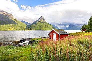 Boat cabins by the fjord, Lyngenfjord, Troms og Finnmark, Norway, Europe