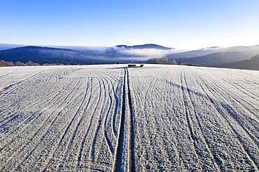 Field path and lanes on field covered with hoarfrost, structure, drone shot, aerial view, Mondseeland, Salzkammergut, Upper Austria, Austria, Europe