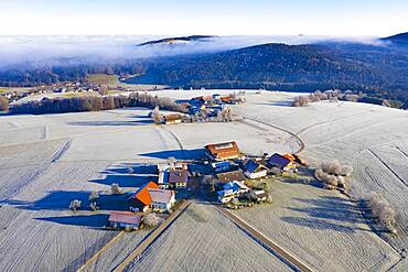 Farms in the middle of meadows covered with hoar frost, agricultural landscape, From above, aerial view, drone photo, Mondsee, Mondseeland, Salzkammergut, Upper Austria, Austria, Europe