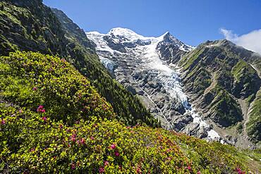 Mountain landscape, view of glacier Glacier de Taconnaz, hiking La Jonction, Chamonix, Haute-Savoie, France, Europe