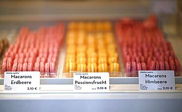 Macarons, display of a patisserie, Stuttgart, Baden-Wuerttemberg, Germany, Europe