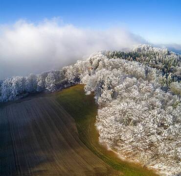 Aerial view, hoarfrost at the edge of the forest, Schafmatt, Basel-Landschaft, Switzerland, Europe