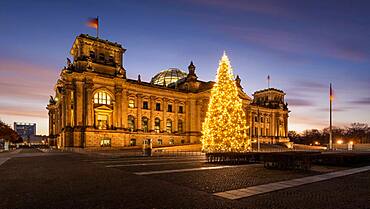 Christmas tree at the Reichstag in the government district at sunrise, Berlin, Germany, Europe