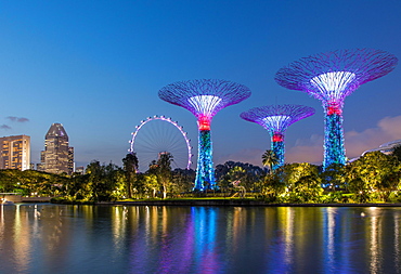 Supertrees at night, Supertree Grove, Gardens by the Bay, Singapore, Asia