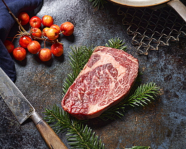 Grained piece of beef, a so-called entrecote, lies on a fir branch decorated on a blue-black shimmering iron plate