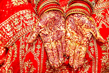 Close up of mehendi on bride's hand, Mauritius, Africa