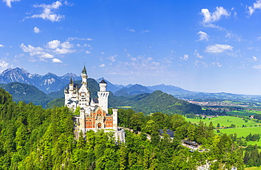 Neuschwanstein Castle in summer, near Schwangau, Ostallgaeu, Allgaeu, Swabia, Bavaria, Germany, Europe