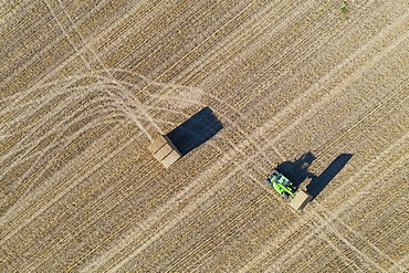 Tractor collecting bales of straw and abstract patterns in cornfield after wheat harvest, aerial view, drone shot, Cordoba province, Andalusia, Spain, Europe