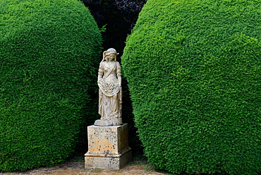 Statue and yew tree in topiary, England, Great Britain