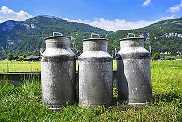 Milk cans in front of meadow and mountains