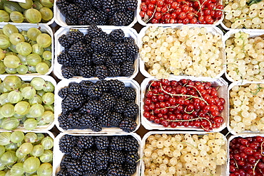 Gooseberry, blackberry, red currant and white currant prepared for sale in the market