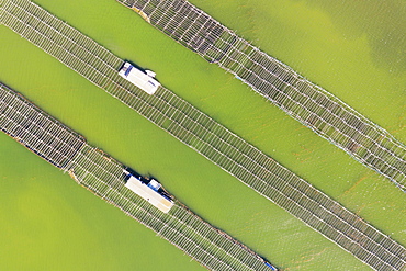 Mussel and oyster farming in the Bahia del Fangar, aerial view, drone shot, Ebro Delta Nature Reserve, Tarragona province, Catalonia, Spain, Europe