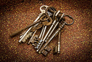 Rusty keys, France, Europe