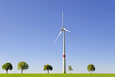 Wind power plant at a green corn field with trees, blue sky, North Rhine-Westphalia, Germany, Europe