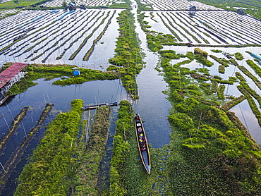 Aerial of the floating gardens, Inle lake, Shan state, Myanmar, Nyaungshwe Township, Shan State, Myanmar, Asia