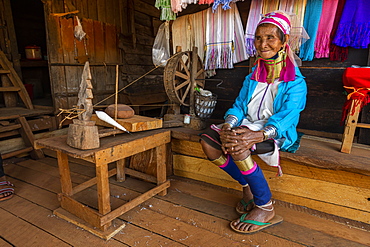 Portrait of a Padaung, giraffe with a traditional weaving chair, woman, Loikaw area, Kayah state, Myanmar, Asia