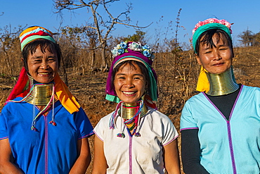 Laughing three Padaung women, Loikaw area, Kayah state, Myanmar, Asia