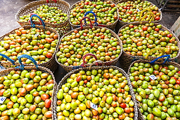 Tomatos for sale, Myitkyina, Kachin state, Myanmar, Asia