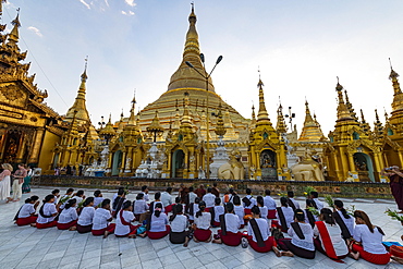 Pilgrims praying in the Shwedagon pagoda, Yangon, Myanmar, Asia