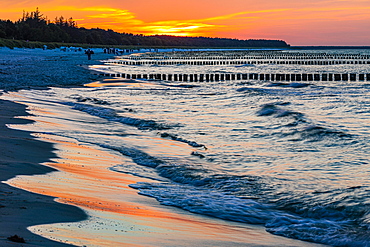 Strollers and groynes at the beach of Zingst at sunset, Zingst, peninsula Zingst, Darss, Fischland, Baltic Sea, Mecklenburg-Western Pomerania, East Germany