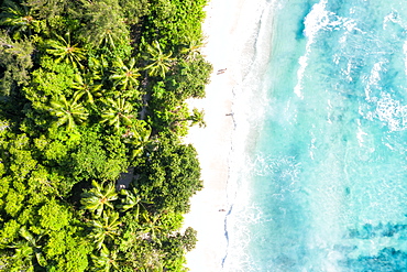 Takamaka beach sea holiday waves ocean aerial bird's eye view, Mahe, Seychelles, Africa