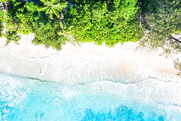 Takamaka beach nature paradise drone aerial bird's eye view on Mahe island, Seychelles, Africa