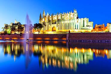 Catedral de Palma Cathedral Church Evening Night Travel Travel in Majorca, Spain, Europe