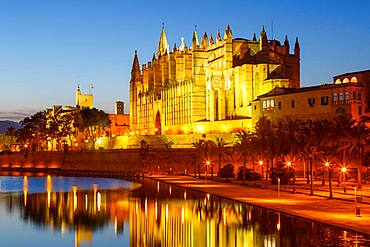 Catedral de Palma Cathedral Church Text Free Space Copyspace Night Travel Travel in Majorca, Spain, Europe