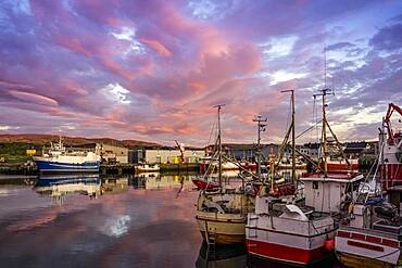 Berlevag, Port, Varanger, Norway, Europe