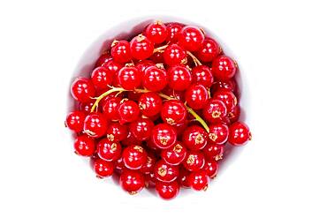 Red currants berries from above crop against a white background