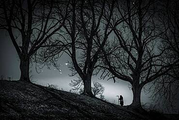 Man with scythe under tree with starry sky, Oberguenzburg, Ostallgaeu, Bavaria, Germany, Europe