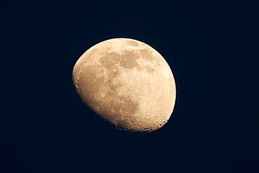 Rising moon near Speyer, Rhineland-Palatinate, Germany, Europe