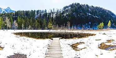 Schwanseepark, near Fuessen, Ostallgaeu, Bavaria, Germany, Europe