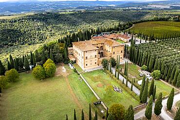 Aerial view, Antico Brunello estate, with olive trees and cypresses, Argiano, Sant'Angelo In Colle, province of Siena, Tuscany, Italy, Europe