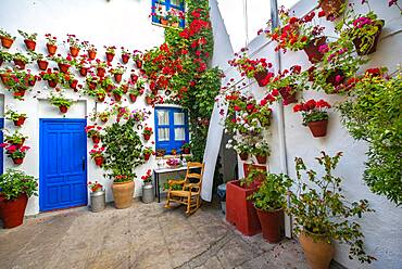 Blue entrance door in courtyard decorated with flowers, geraniums in flower pots on the house wall, Fiesta de los Patios, Cordoba, Andalucia, Spain, Europe