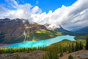 Cloudy mountain peaks, turquoise glacial lake surrounded by forest, Peyto Lake, Rocky Mountains, Banff National Park, Alberta Province, Canada, North America